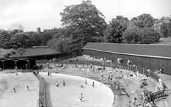 Happy Summer Days at the pool